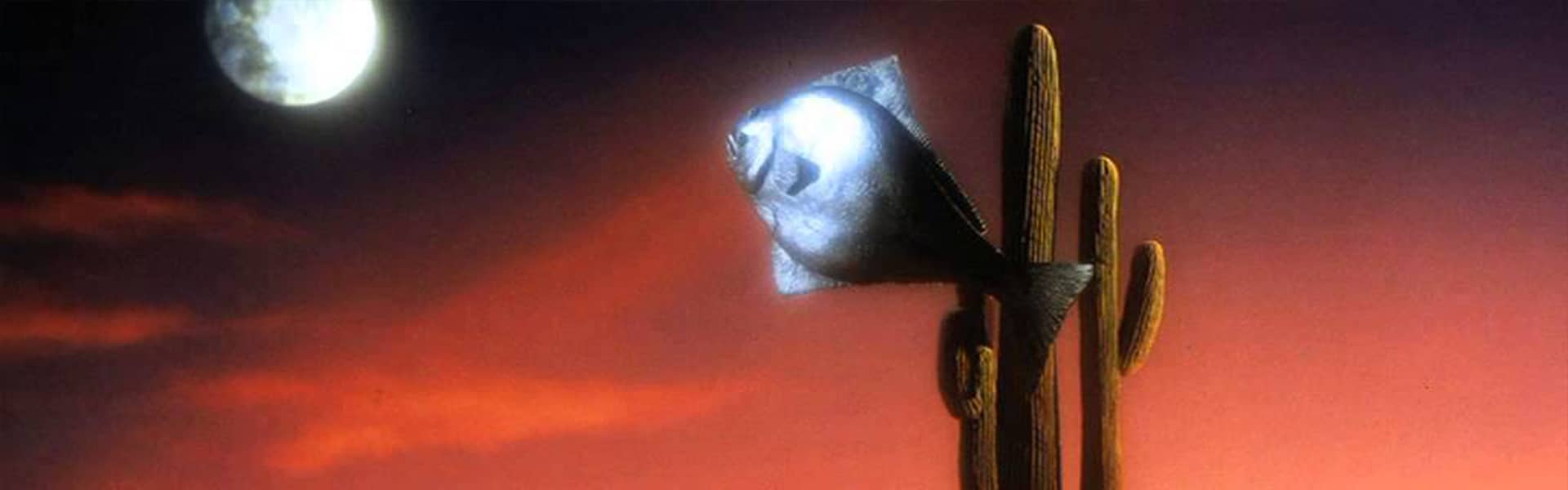 AKM - ARIZONA DREAMS