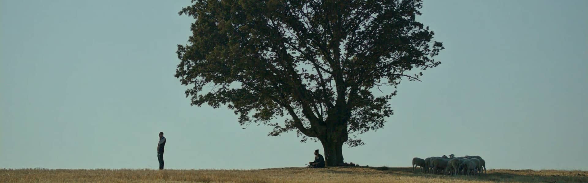 AKM - COMMITMENT HASAN