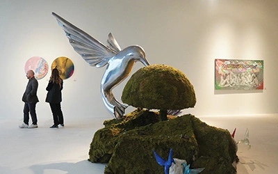 AKM Etkinlik - Hummingbirds